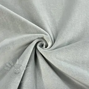 Sammet VELVET PREMIUM light grey