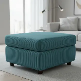 Menčester FUTE canard