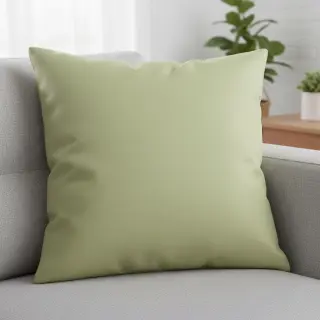CANVAS dark mint