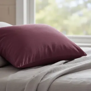 CANVAS beet red