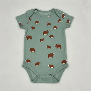 Úplet Bears dark mint melange