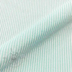 Dekorationstyg DOBBY Colored stripe mint