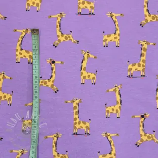 Jersey Giraffes lavender