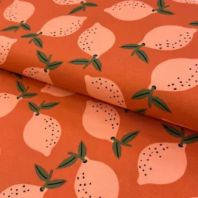Dekoračná látka Fruits design F