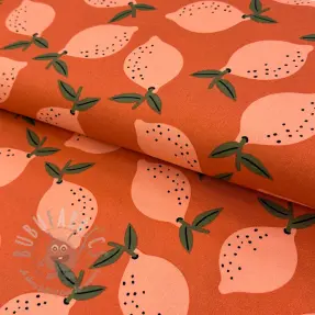 Dekorationstyg Fruits design F