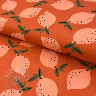 Dekorationstyg Fruits design F