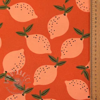Dekorationstyg Fruits design F