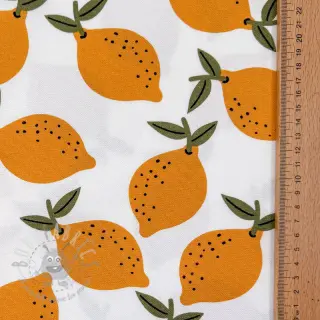 Dekorationstyg Fruits design E