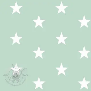 Bomullstyg Stars mint