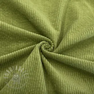 Manchester 6W WASHED STRETCH green