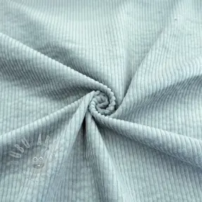 Manchester 6W WASHED STRETCH seafoam green