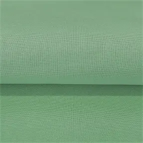CANVAS mint
