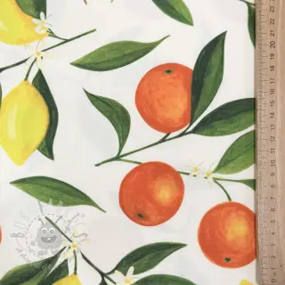 Dekorationstyg med teflonbehandling Citrus Fruit