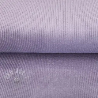 Manchester lilac