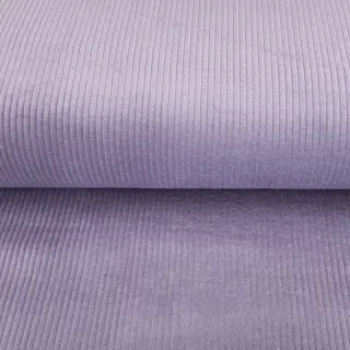 Menčester lilac